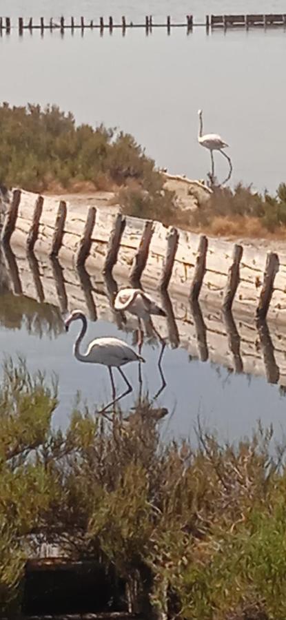 Villa Pier Sant'Andrea  Dış mekan fotoğraf